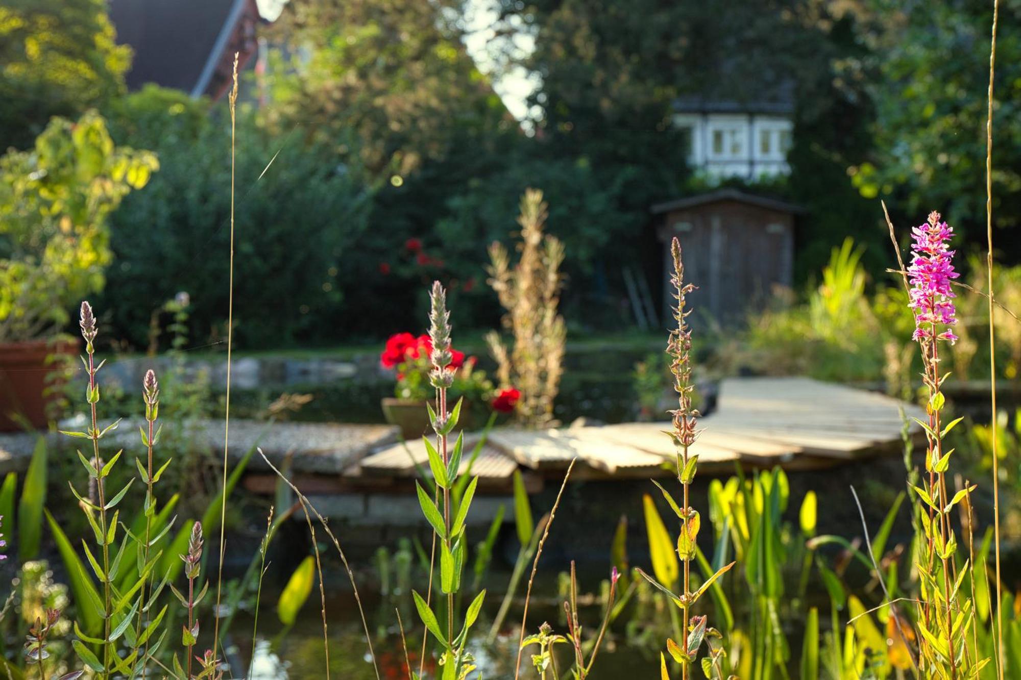 Gasthaus Benke, Fachwerkhaus In Westfalen Datteln Buitenkant foto